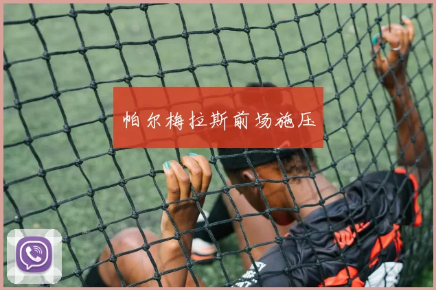 帕尔梅拉斯前场施压