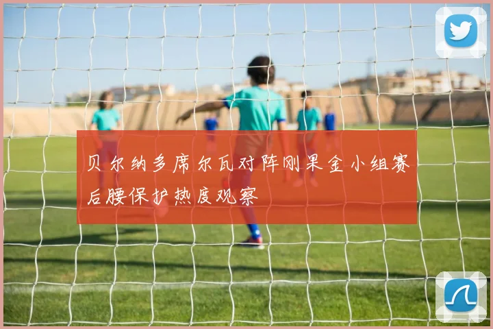 贝尔纳多席尔瓦对阵刚果金小组赛后腰保护热度观察
