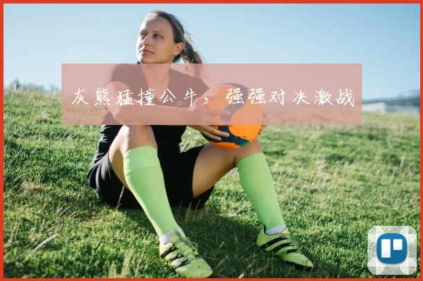 灰熊猛撞公牛，强强对决激战