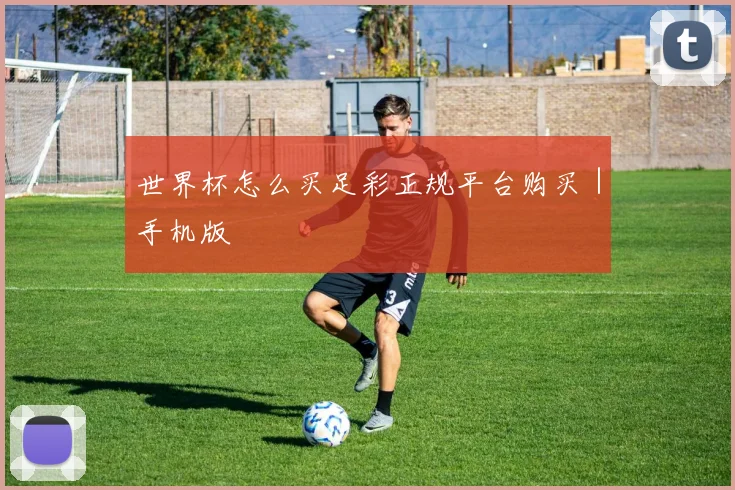 世界杯怎么买足彩正规平台购买｜手机版