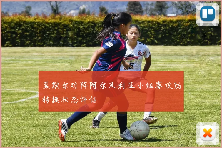 莱默尔对阵阿尔及利亚小组赛攻防转换状态评估