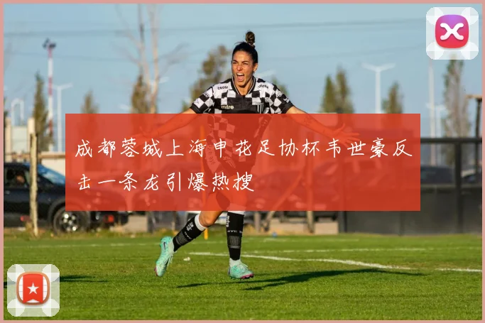 成都蓉城上海申花足协杯韦世豪反击一条龙引爆热搜
