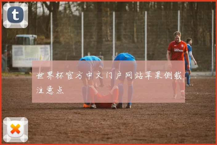 世界杯官方中文门户网站苹果侧载注意点