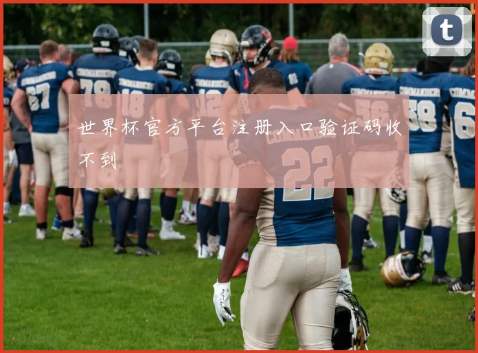 世界杯官方平台注册入口验证码收不到